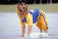 Кадр Король воздуха: Седьмая подача (видео)