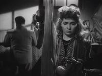 Кадр Собачья жизнь