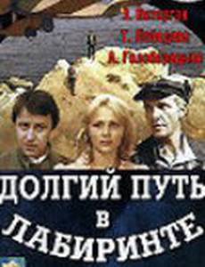 Долгий путь в лабиринте (мини-сериал)