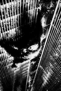 Кадр Кинг-Конг