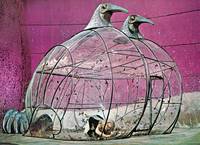 Кадр Барбарелла