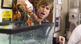 Кадр из фильма "Школа негодяев" - 1