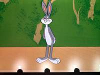 Кадр Кролик ныряющий с высоты