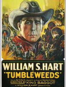 Перекати-поле