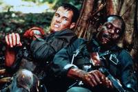 Кадр Полет «Нарушителя»