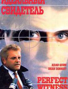 Идеальный свидетель