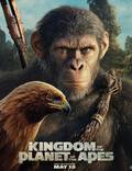 Постер из фильма "Королівство планети мавп" - 1