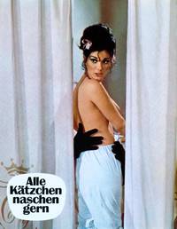 Кадр Все кошки любят полакомиться