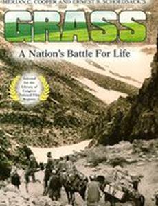 Трава: Битва народа за выживание