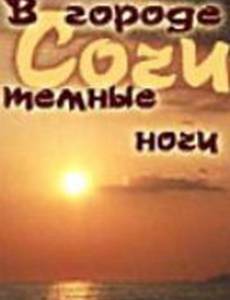 В городе Сочи темные ночи