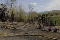 Кадр Рэмбо IV