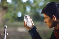 Кадр Мерлин