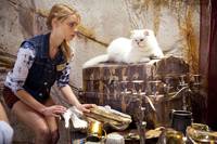 Кадр Секрет острова Мако