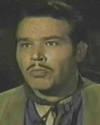 Пэт Хоган фото