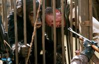 Кадр Мои африканские приключения