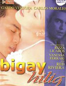 Bigay hilig