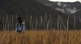 Кадр из фильма "3 года и 3 месяца отступления" - 2