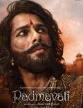 Постер из фильма "Падмавати" - 1