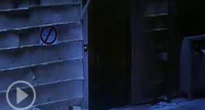 Мультфильм 