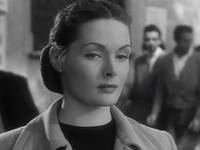 Кадр Собачья жизнь