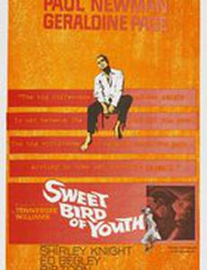 Сладкоголосая птица юности