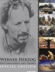 Вера и валюта