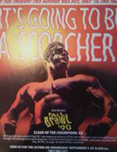 WCW Столкновение чемпионов 12