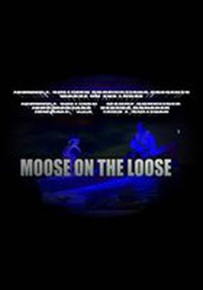 Moose on the Loose