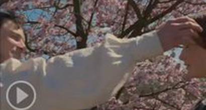 Британский трейлер