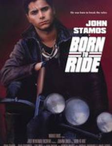 Прирожденный гонщик