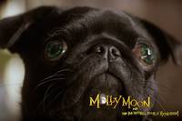 Кадр Молли Мун и волшебная книга гипноза