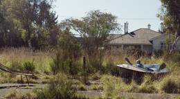 Кадр из фильма "Вес слонов" - 1