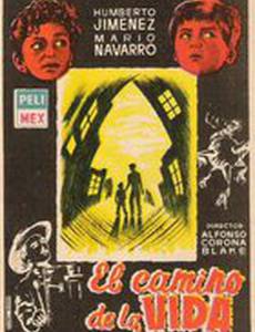 Жизненный путь