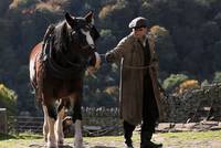 Кадр Сопротивление