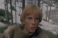 Кадр И на камнях растут деревья