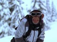 Кадр Лучший друг шпиона