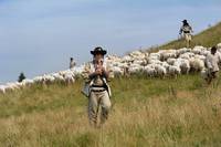 Кадр Горные мстители