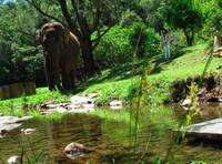 Кадр Слон и принцесса