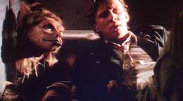 Кадр из фильма "Мой новый напарник" - 1