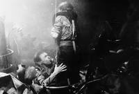 Кадр Акулы и мелкие рыбешки