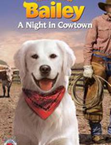 Adventures of Bailey: A Night in Cowtown