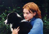 Кадр Похищение домой