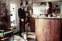 Кадр Турист поневоле