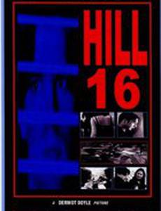 Hill 16