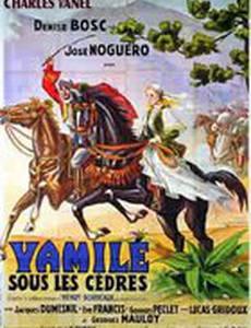 Ямиле под кедрами