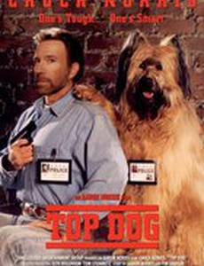 Главная собака