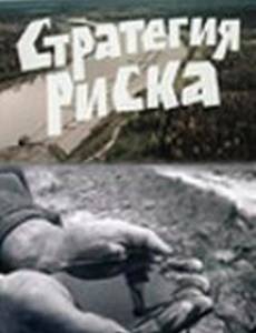 Стратегия риска