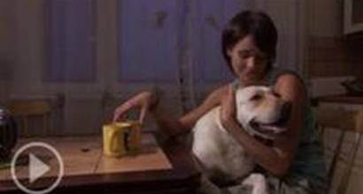 Телевизионный ролик 