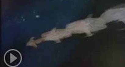 Вступительные титры