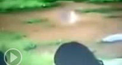 Мультфильм 